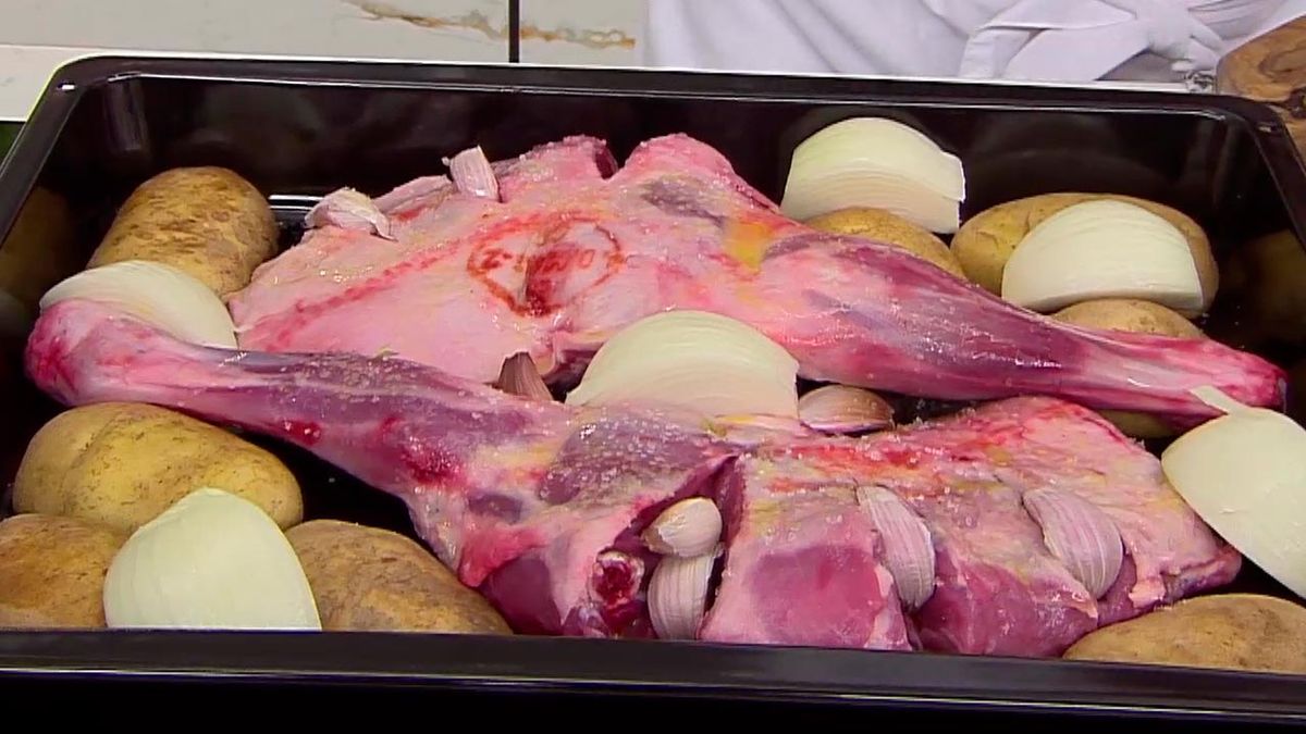 karl6666 paletilla ternasco p2