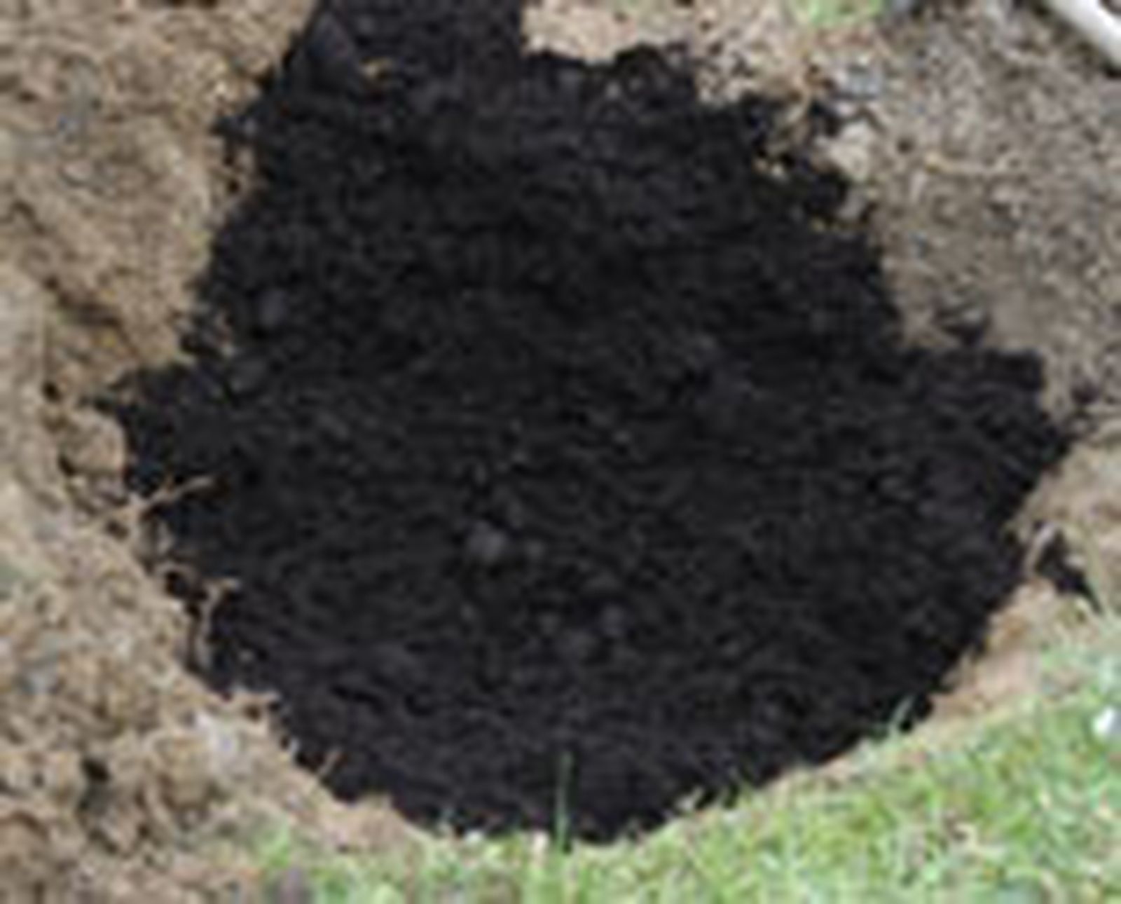 325 plant plam p04