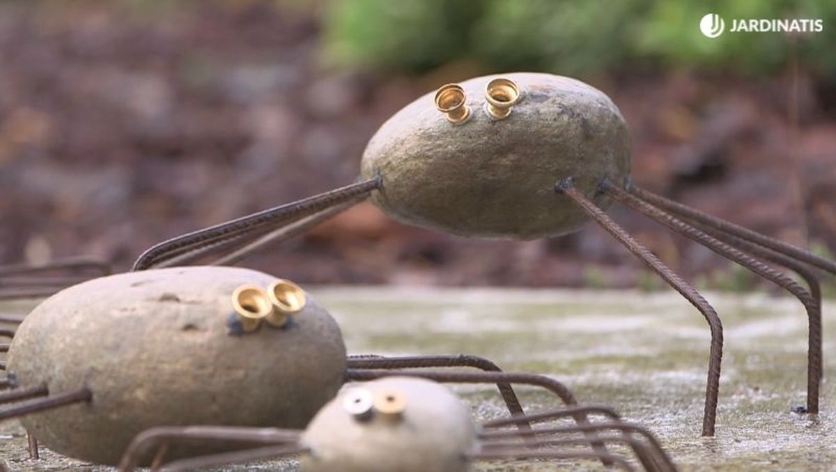 Revisa las arañas de piedra