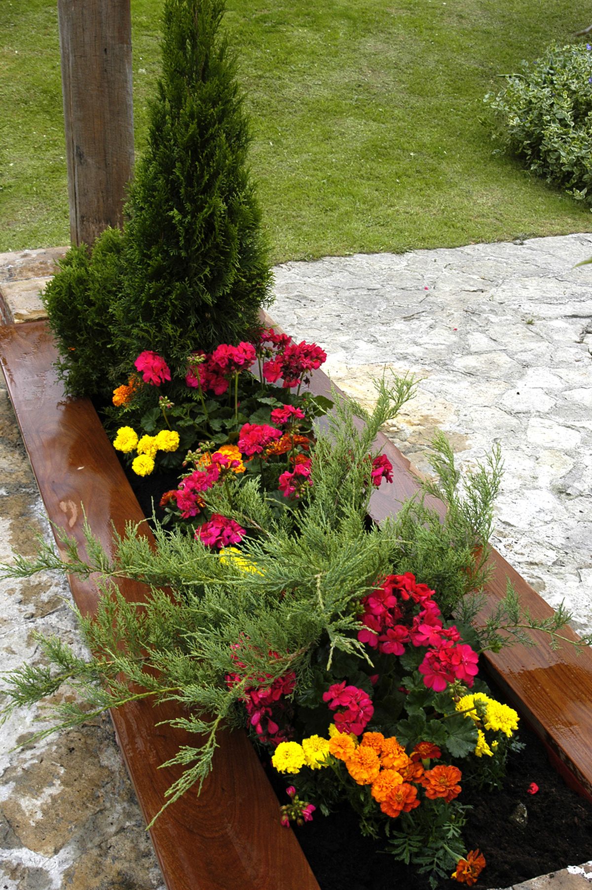 plantacion jardinera xl