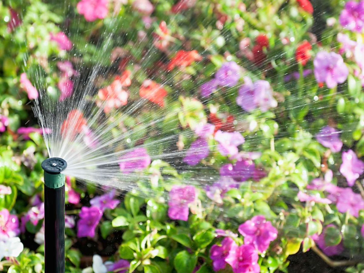 Elige el sistema ideal para tu jardín.