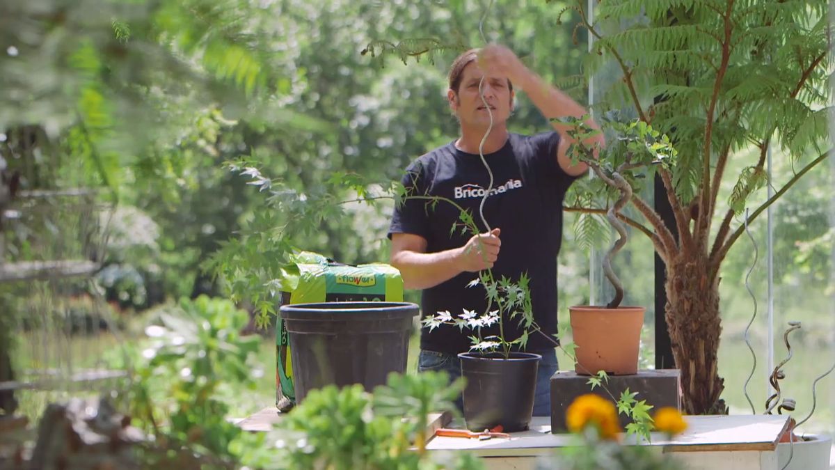 brico 915 3 tronco espiral vara entutorar