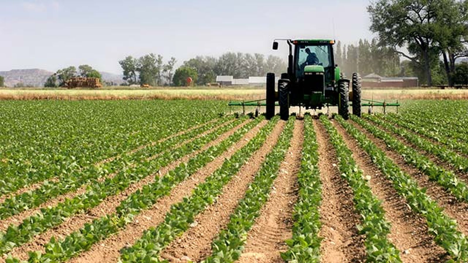 agricultura mecanizada