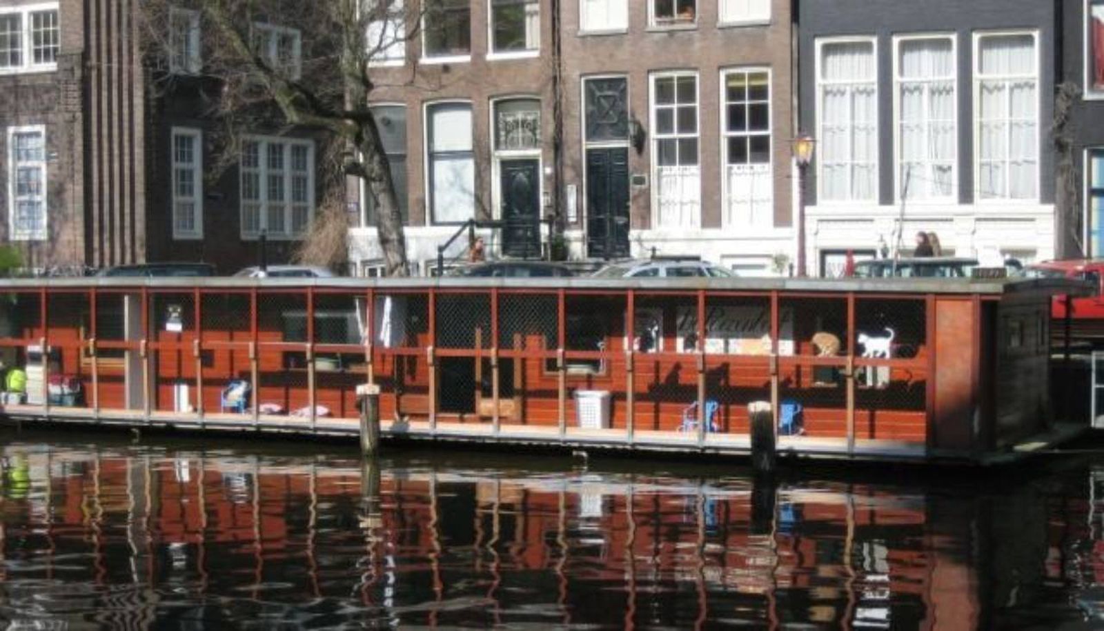 De Poezenboot en holandés significa el barco de los gatos.