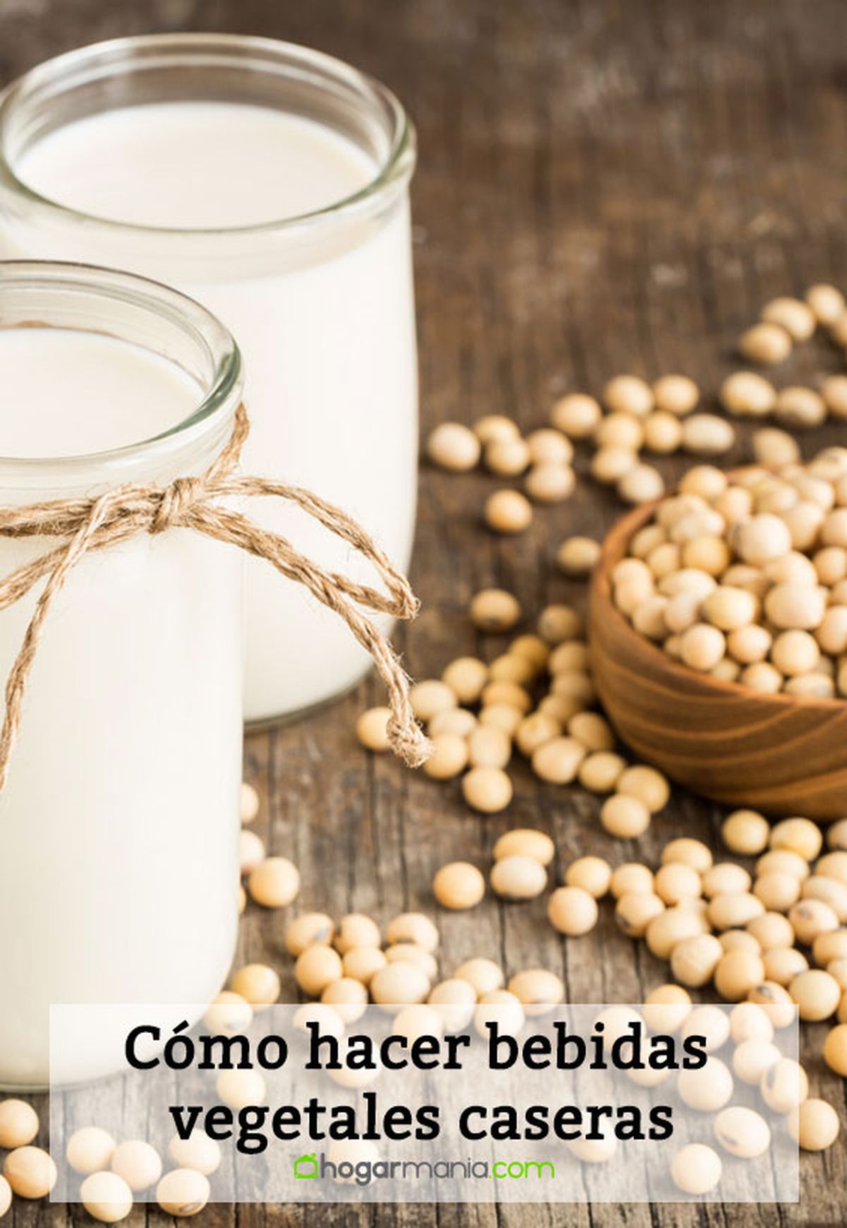 como hacer bebidas vegetales caseras pin