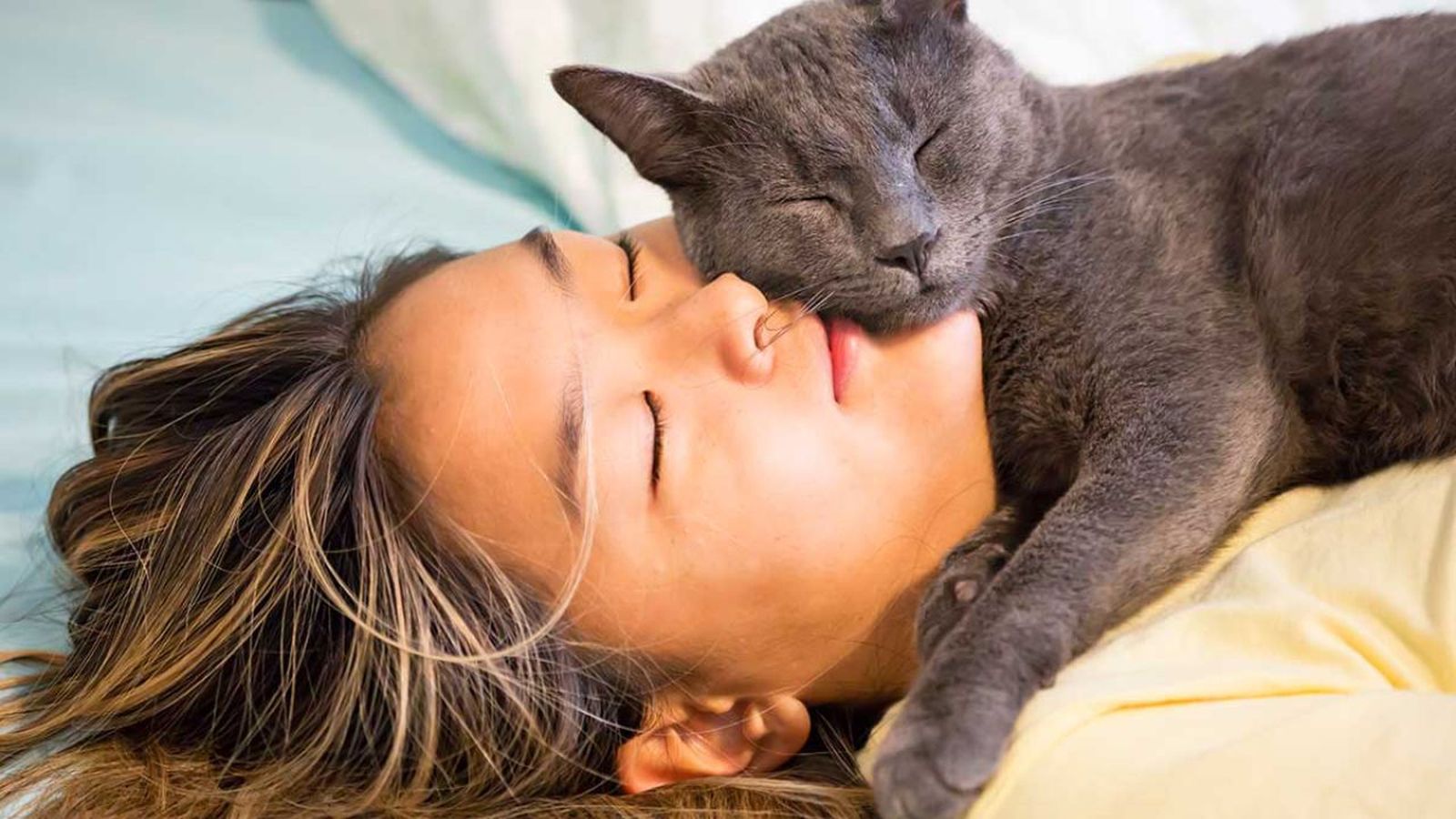 dormir con el gato ok