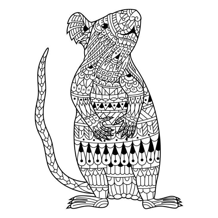 rata mandala