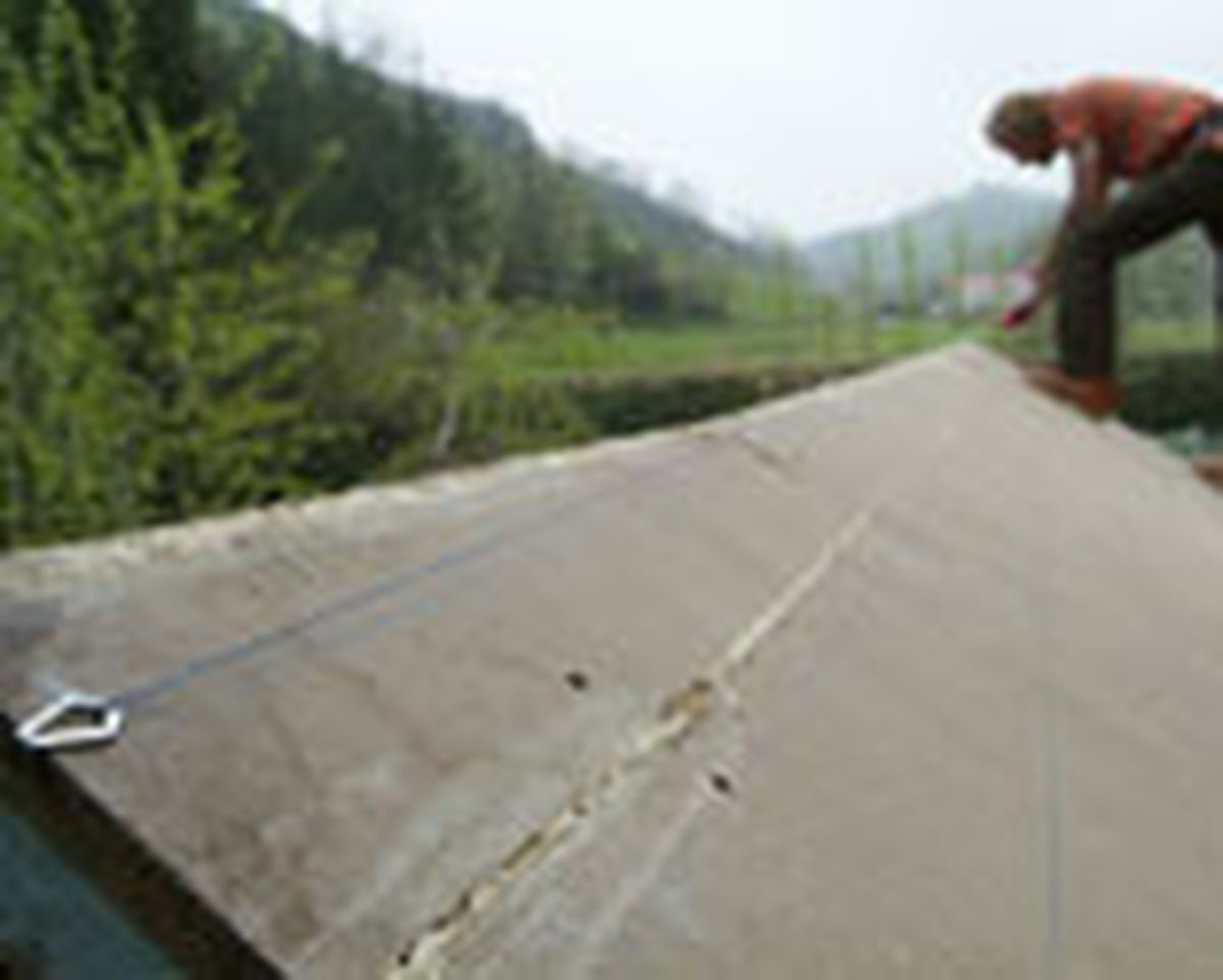 454 cub plac bitu p13