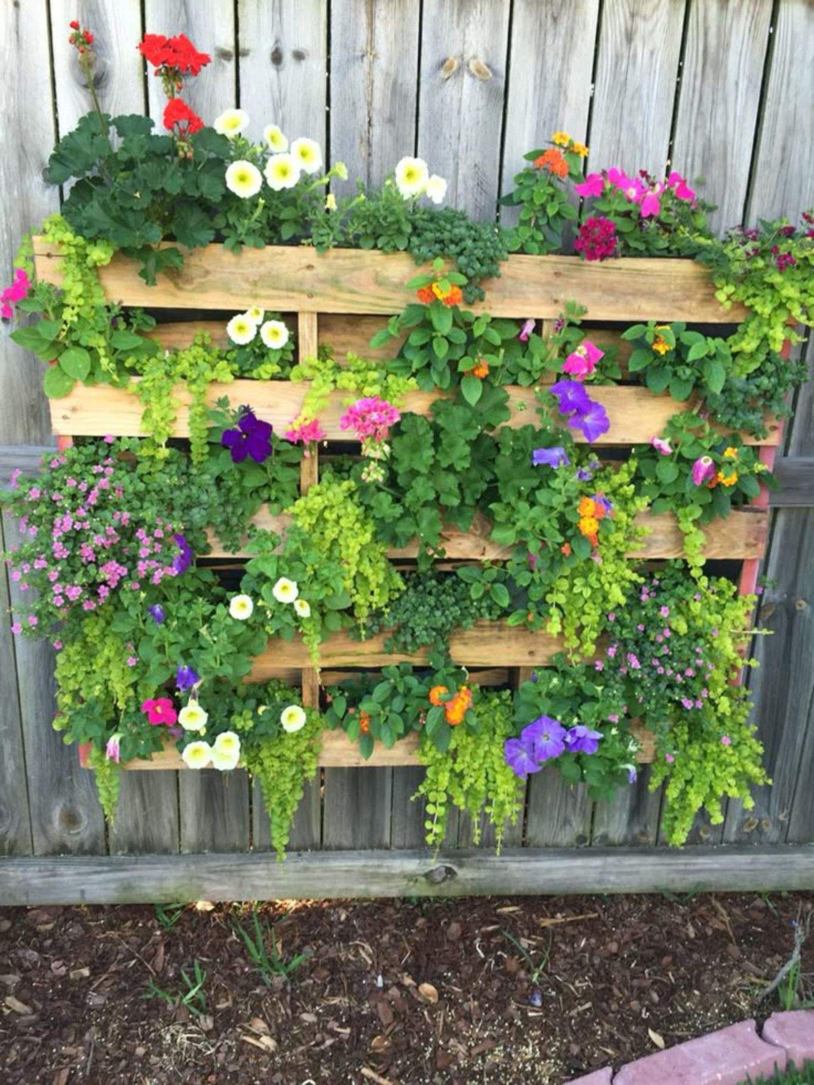 Jardín vertical hecho con palets con plantas.