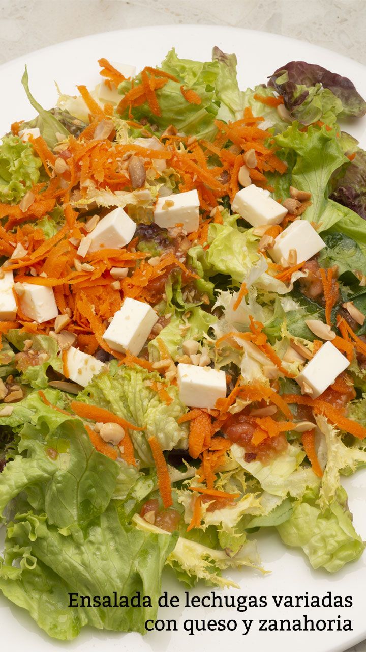 ensalada de lechugas variadas con queso y zanahoria v