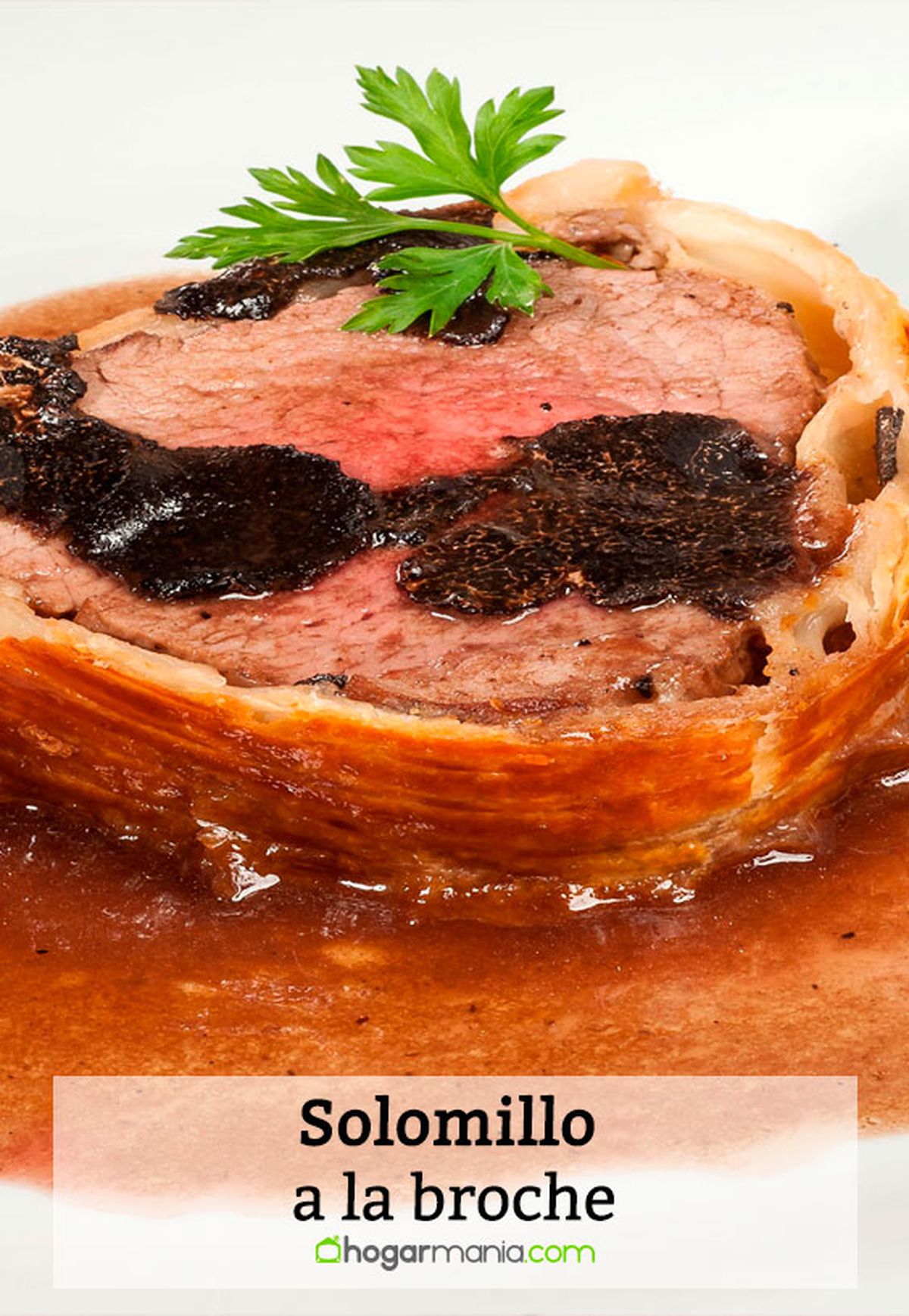 solomillo broche pin