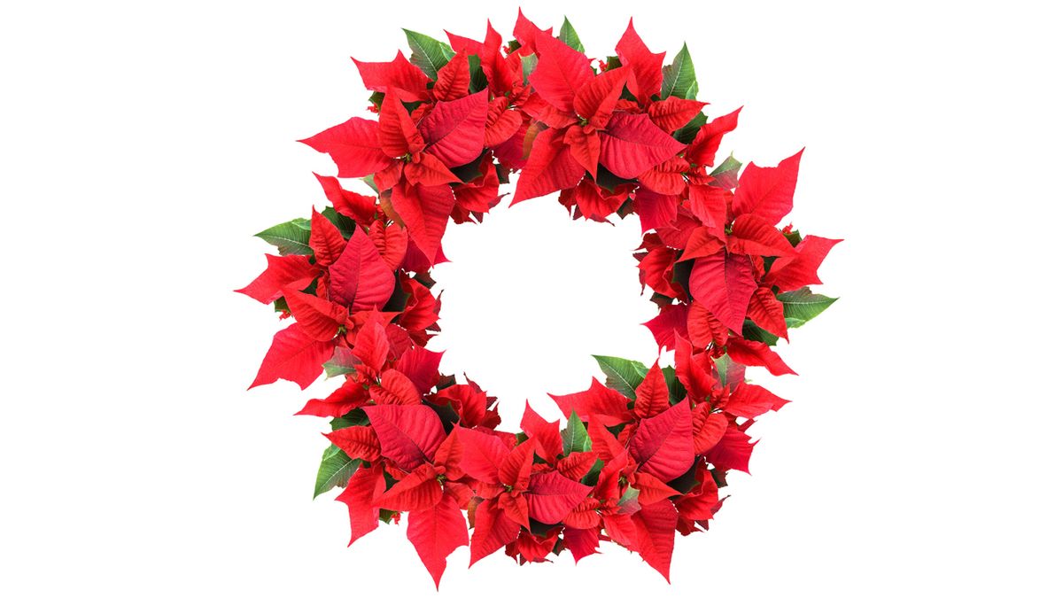 Coronas navideñas originales  floral