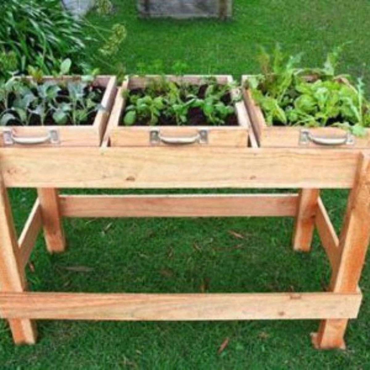 caja de vino en mesa de plantacion