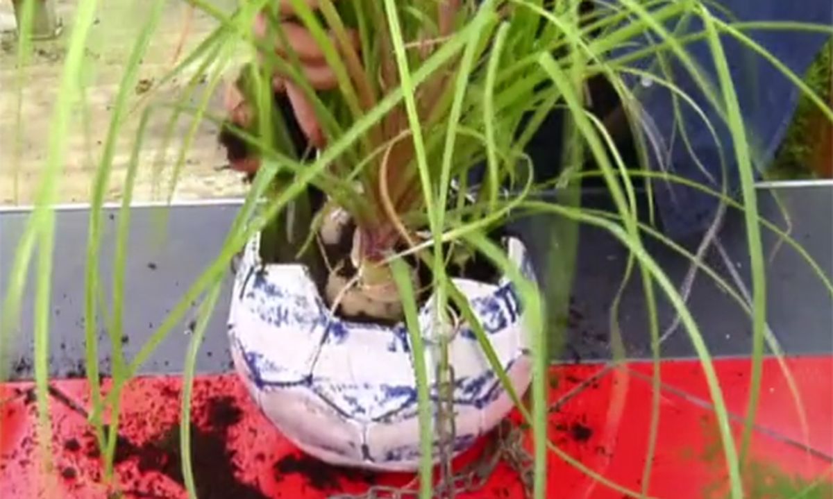 Reutilizar balones como maceteros paso 5