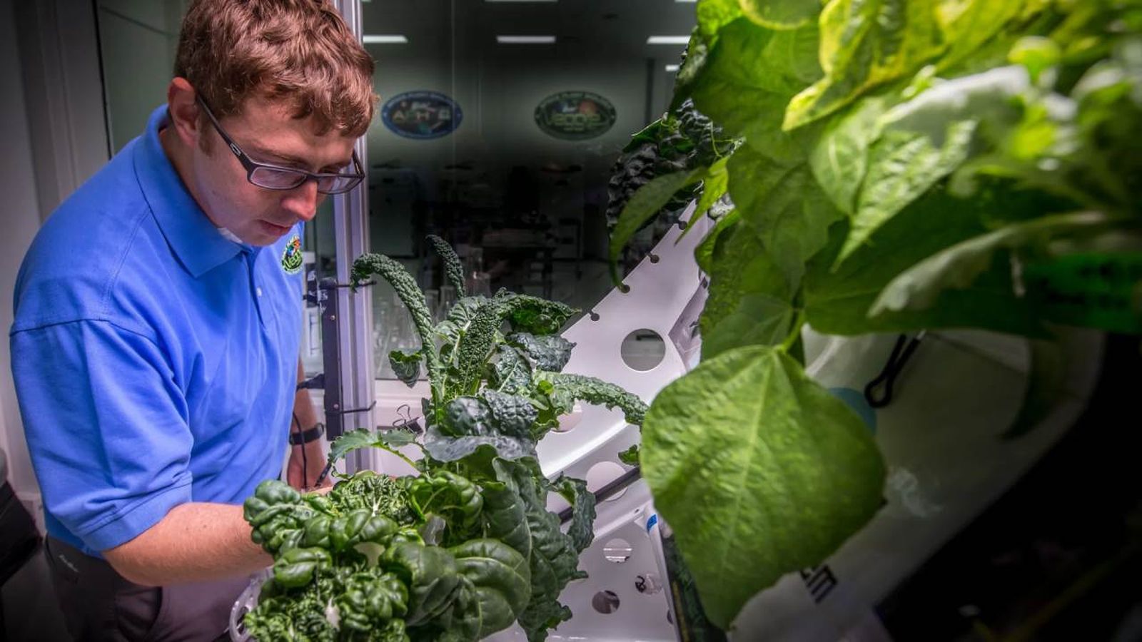 Hasta ahora, la Nasa solo había plantado vegetales en la estación espacial internacional