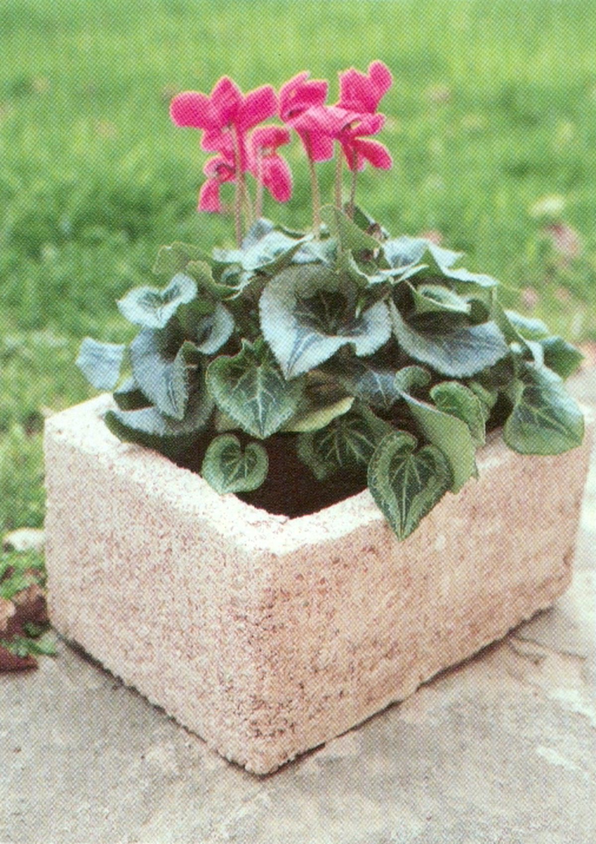 Hacer un macetero de hormigón