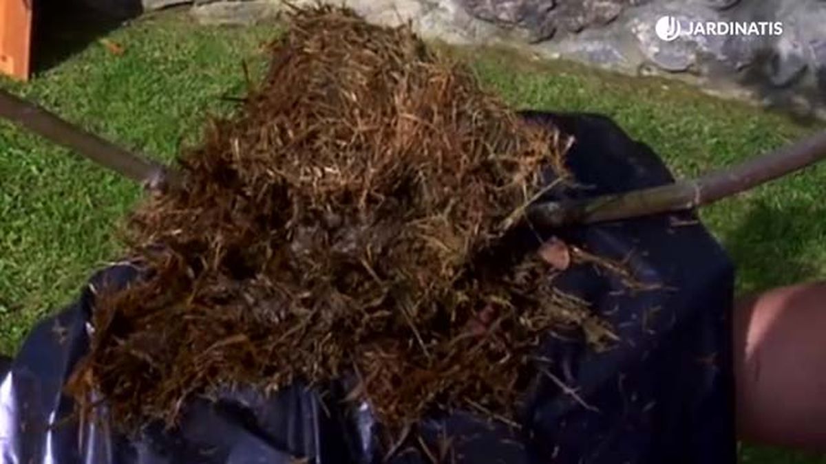 musgo para el acodo aereo brico 750