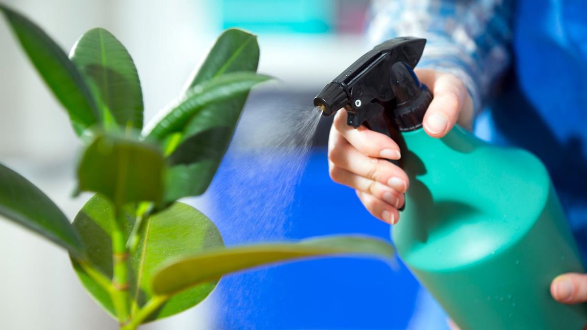 herramientas jardineria hogar pulverizador xl