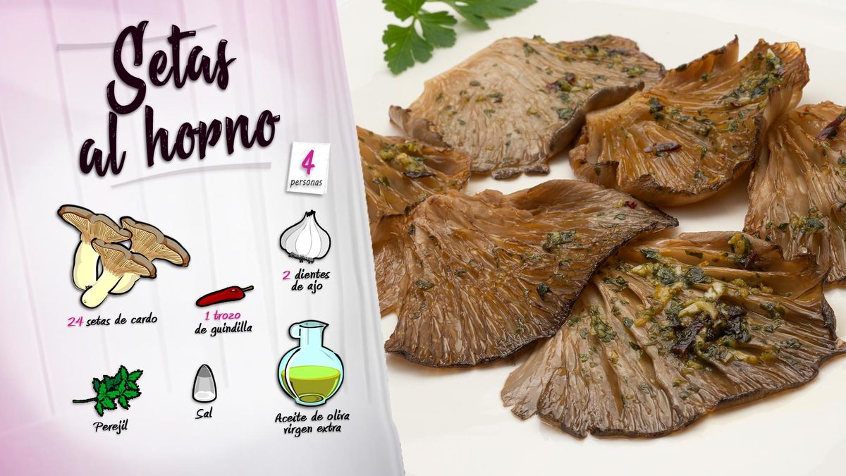 karl6624 setas horno ing