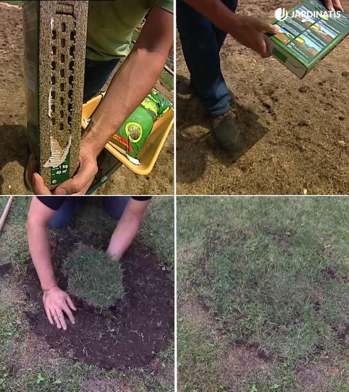 Resiembra de césped mediante semillas y tepe