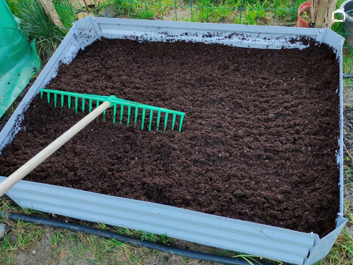 Capa final de sustrato en el bancal lasaña