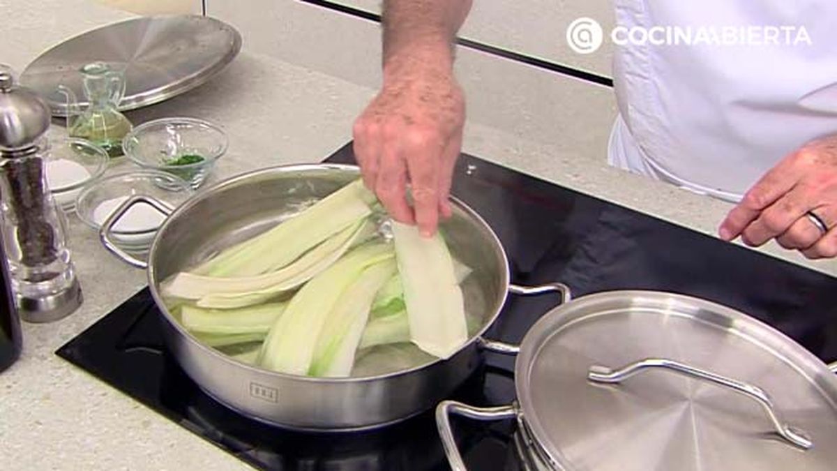 karl6830 pencas pure p1