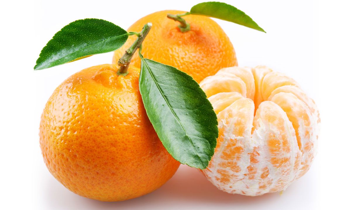 mandarina tipos compra cocina xl