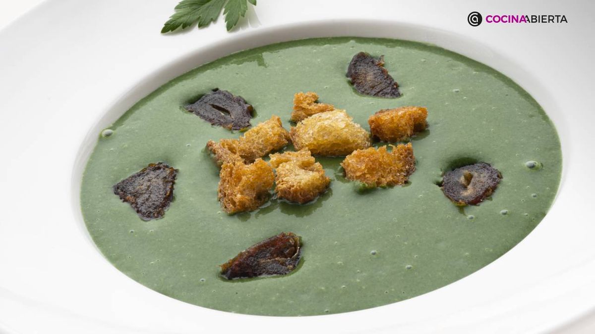 KARL7167 sopa espinacas xl