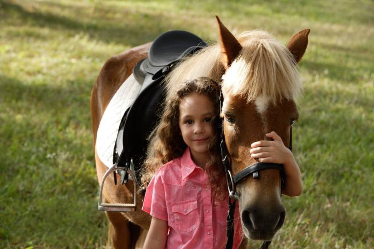El pienso y el forraje tienen que ser la base en la que se sustente su dieta.
