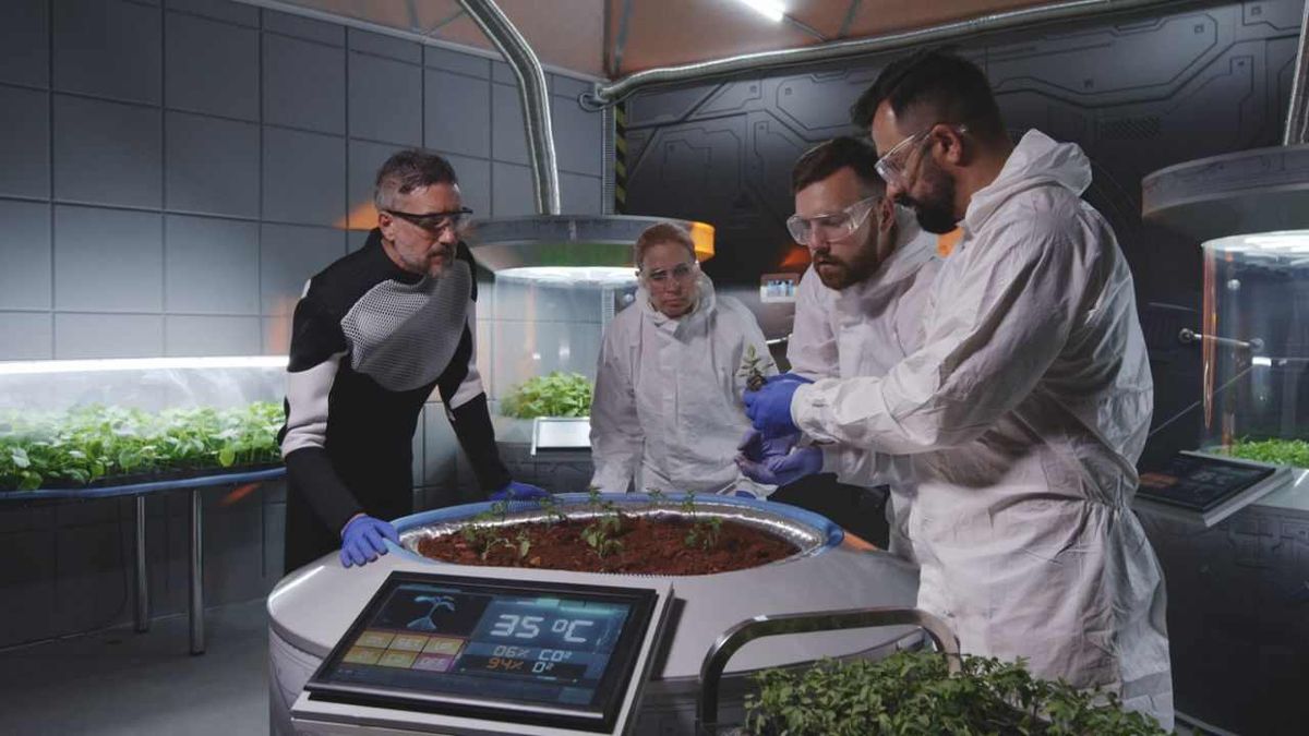 Científicos examinando plántulas en la base de Marte