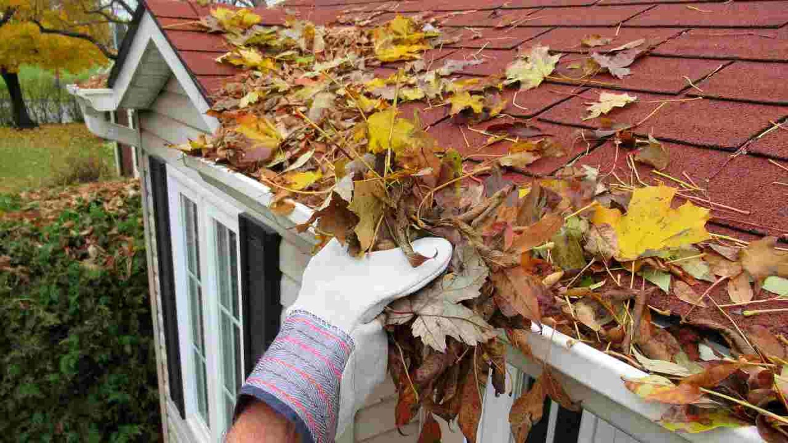 Un atasco en el canalón