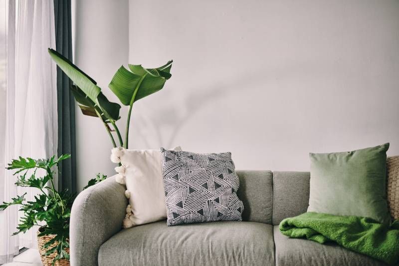Salón decorado en gris y verde hoja.