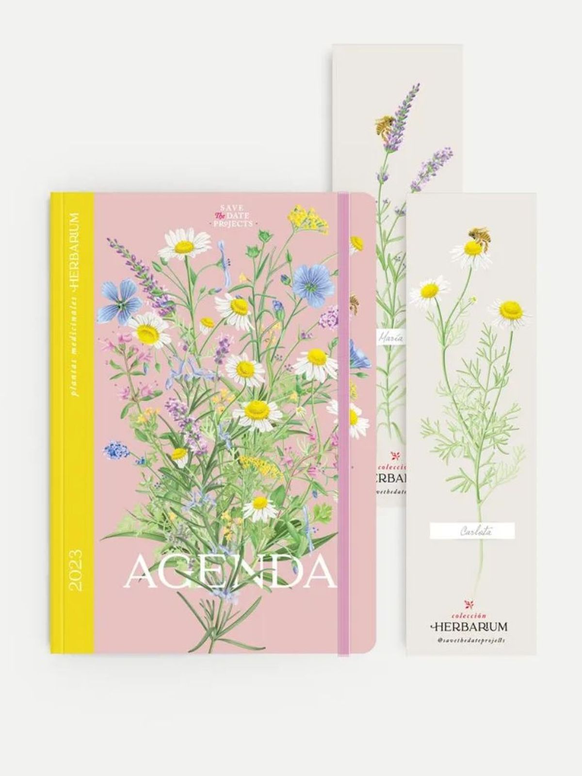 savethedateprojects agenda 2023