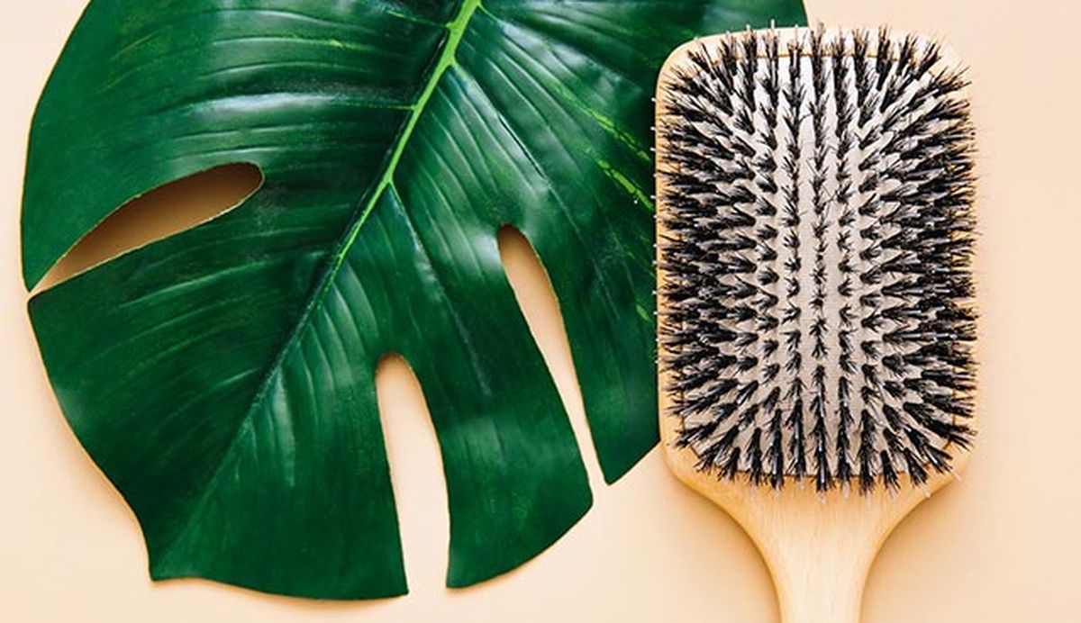 los mejores cepillos para desenredar el pelo sin romperlo nylon jabali