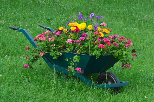 decorar jaridn carretillas plantas 1
