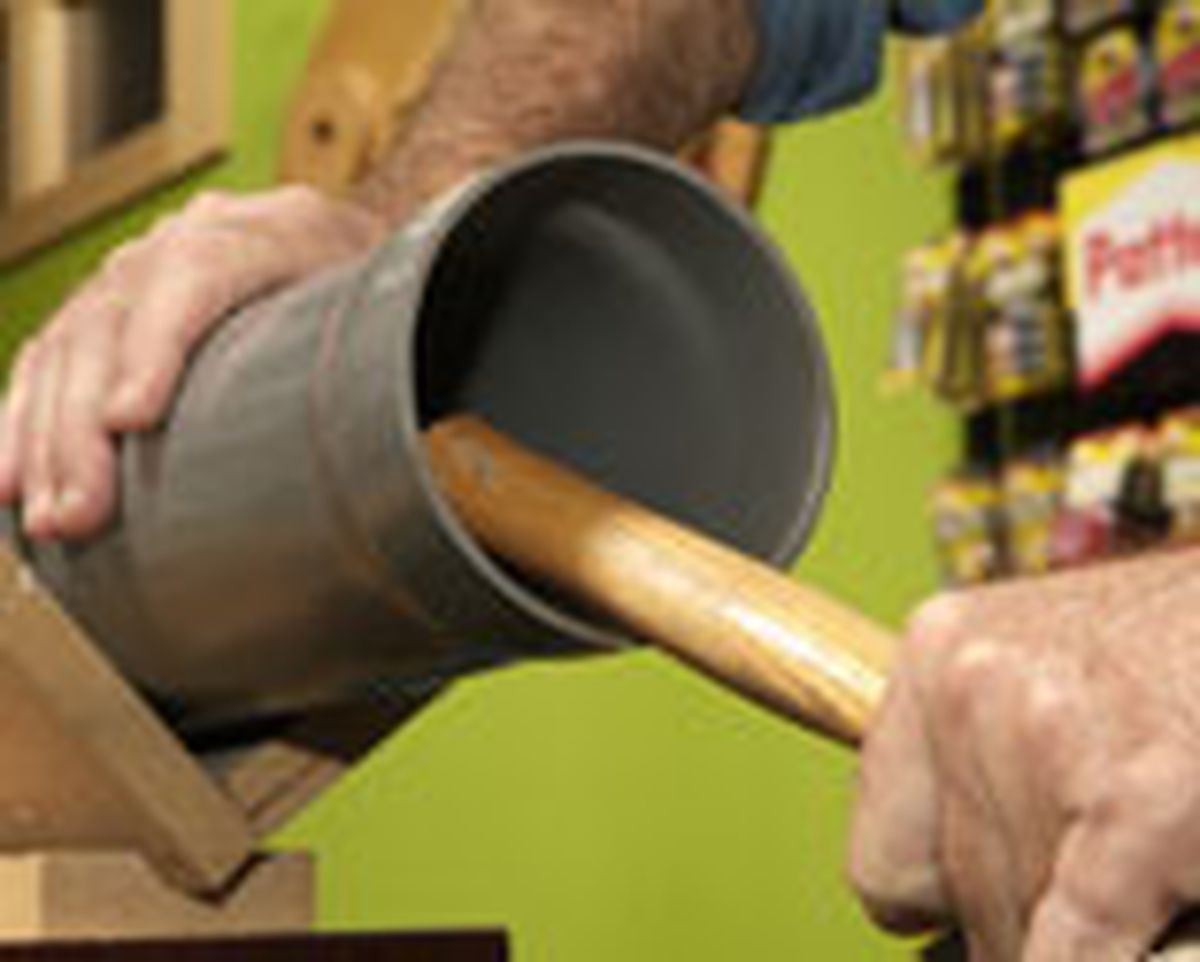 436(85) Abeto paraguas paso6