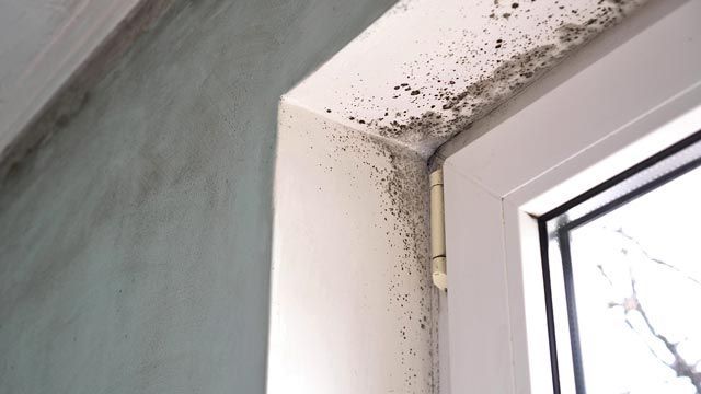 consejos para eliminar la condensacion en paredes ventanas