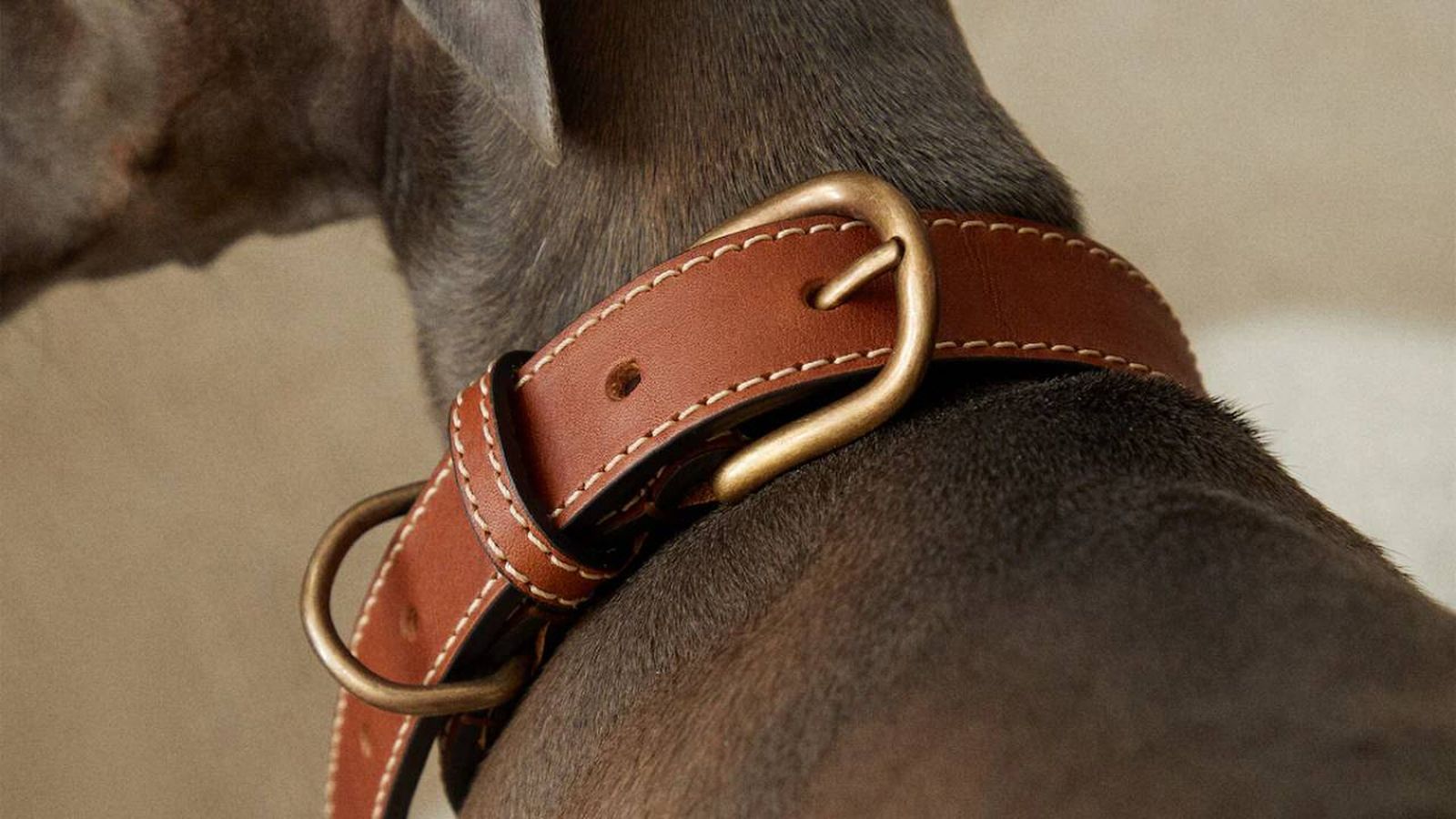 coleccion mascotas zara home (1)