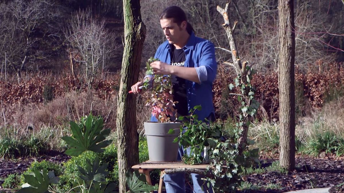 brico 940 3 fatsedera poda