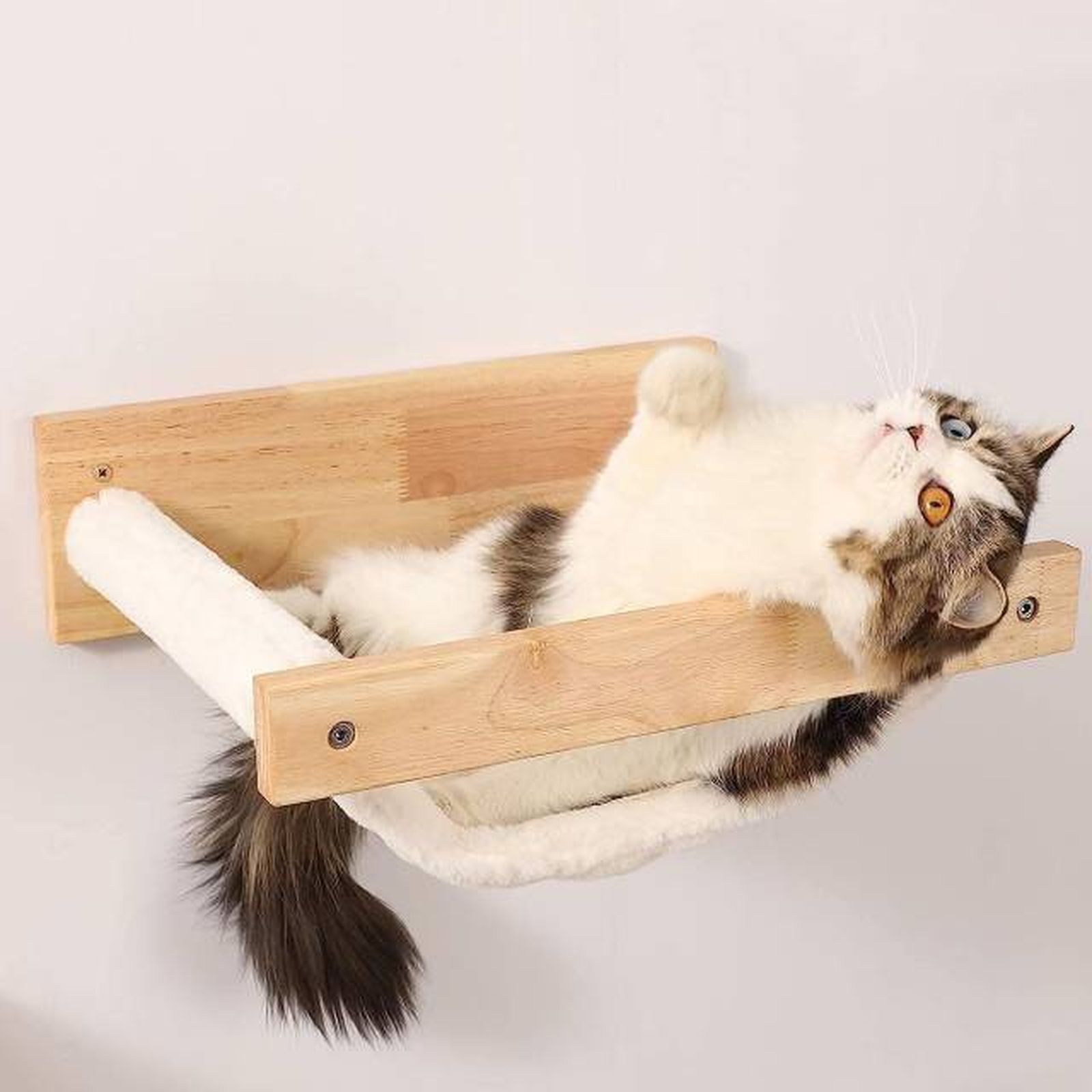 hamaca de pared para gatos amazon