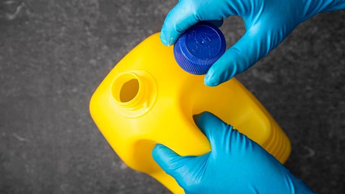 formas prevenir cucarachas3