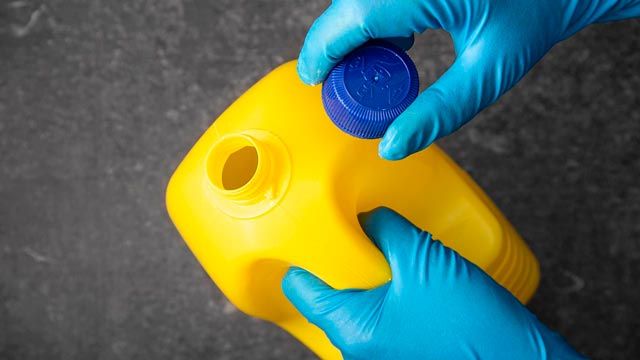 formas prevenir cucarachas3