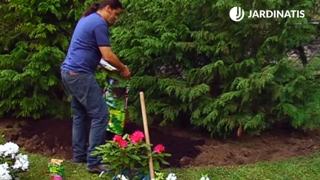 sustrato acido para plantacion de jardin azaleas rododendros brico 699 jardin