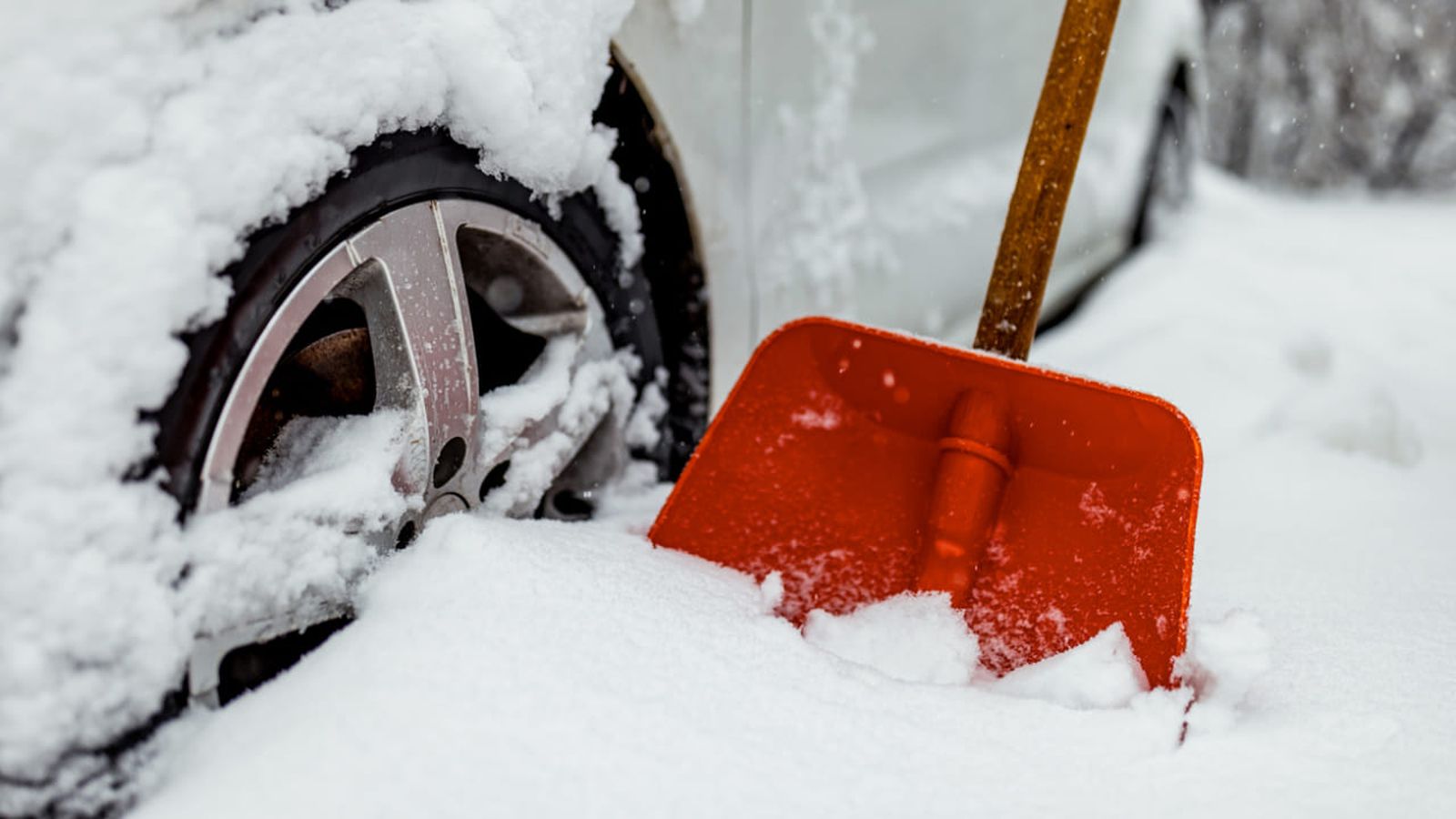 tormenta de nieve 1