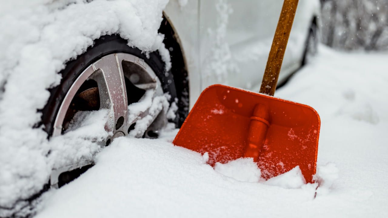 tormenta de nieve 1