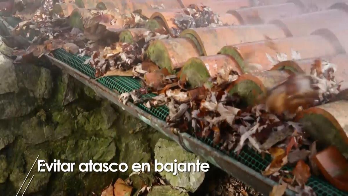 973 briconsejo 2 evitar atasco bajante paso 7