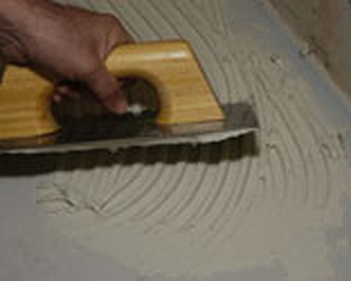 288 alic suel bano p2