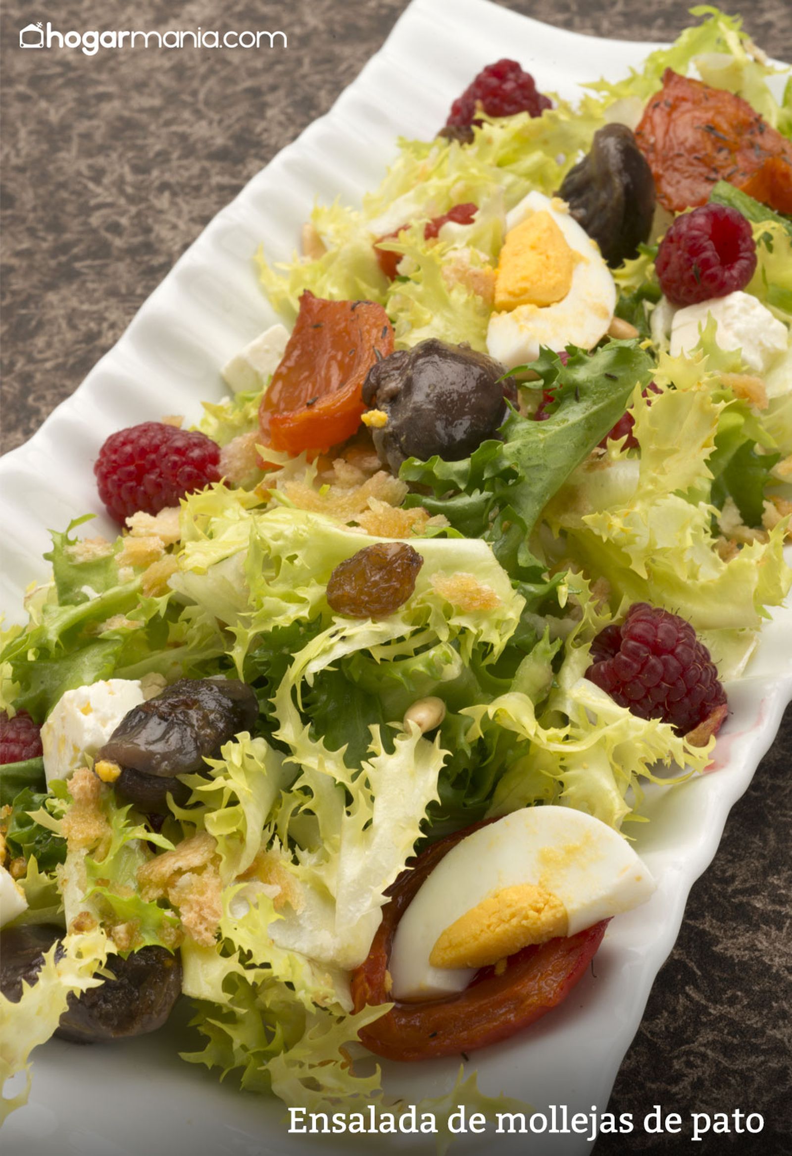 6090 1 Ensalada de mollejas de pato vertical xl