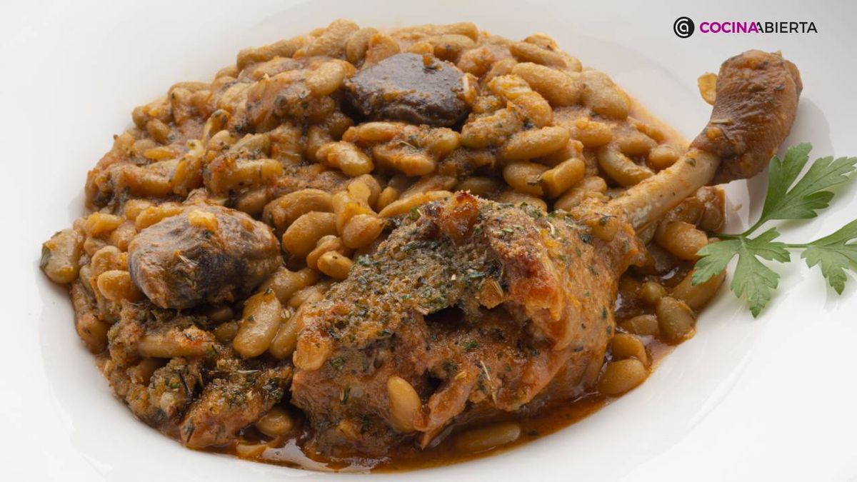 karl7095 alubias pato xl