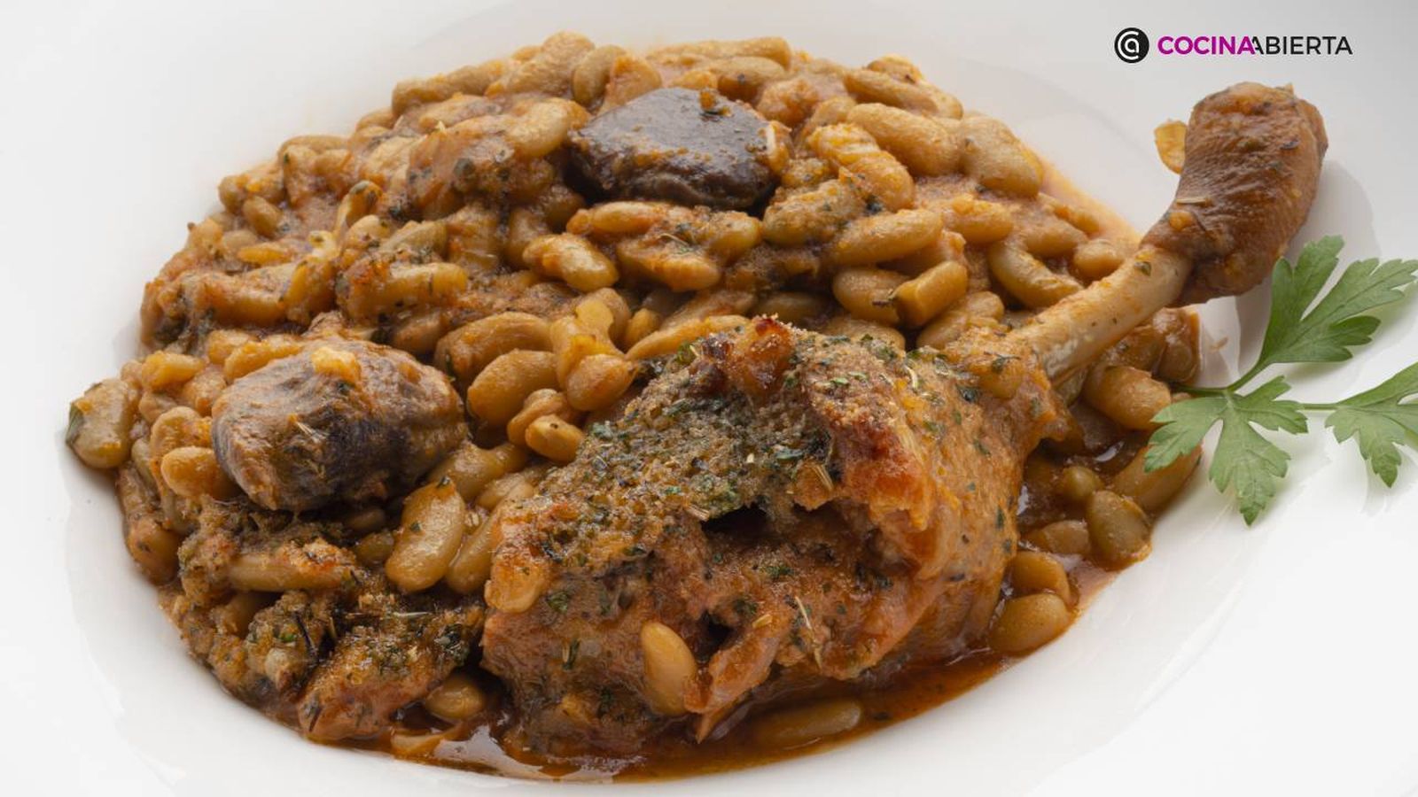 karl7095 alubias pato xl